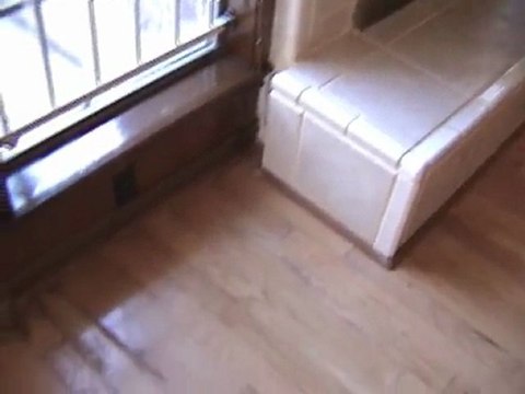 Houston Home Inspector: Water Penetration Around Fireplace