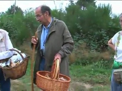 TV3 - El medi ambient - Com classificar els bolets