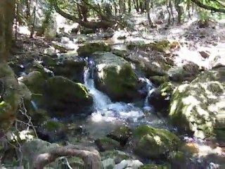 2011.05.21 Les Sources de l'Huveaune (74)