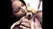 Bollywood Stars And Their Pets – Latest Bollywood News