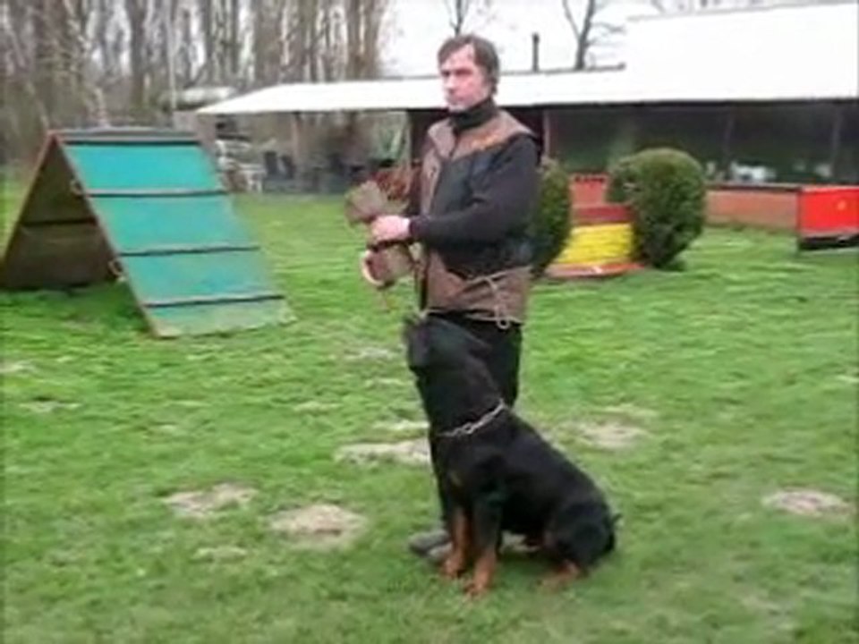 MCRS Sport Canin