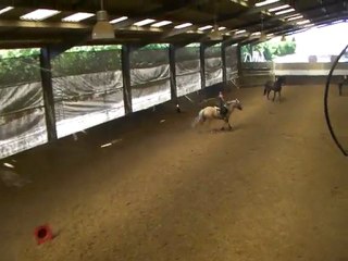 travail au pas et au trot