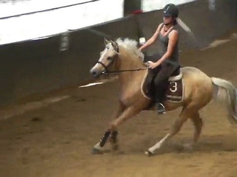 travail au trot et au galop