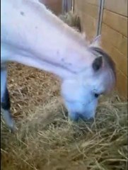 I can not do without you