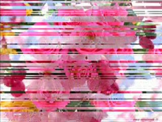 YO TE PROPONGO - ROBERTO CARLOS