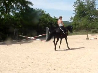 tournicoton