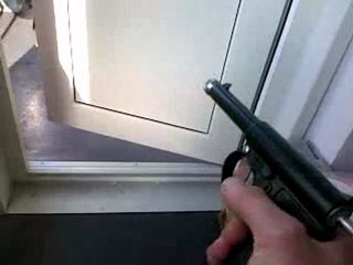 Fly goes wild