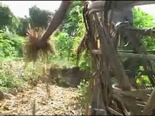 Beyond Organic farming using Natuecco science