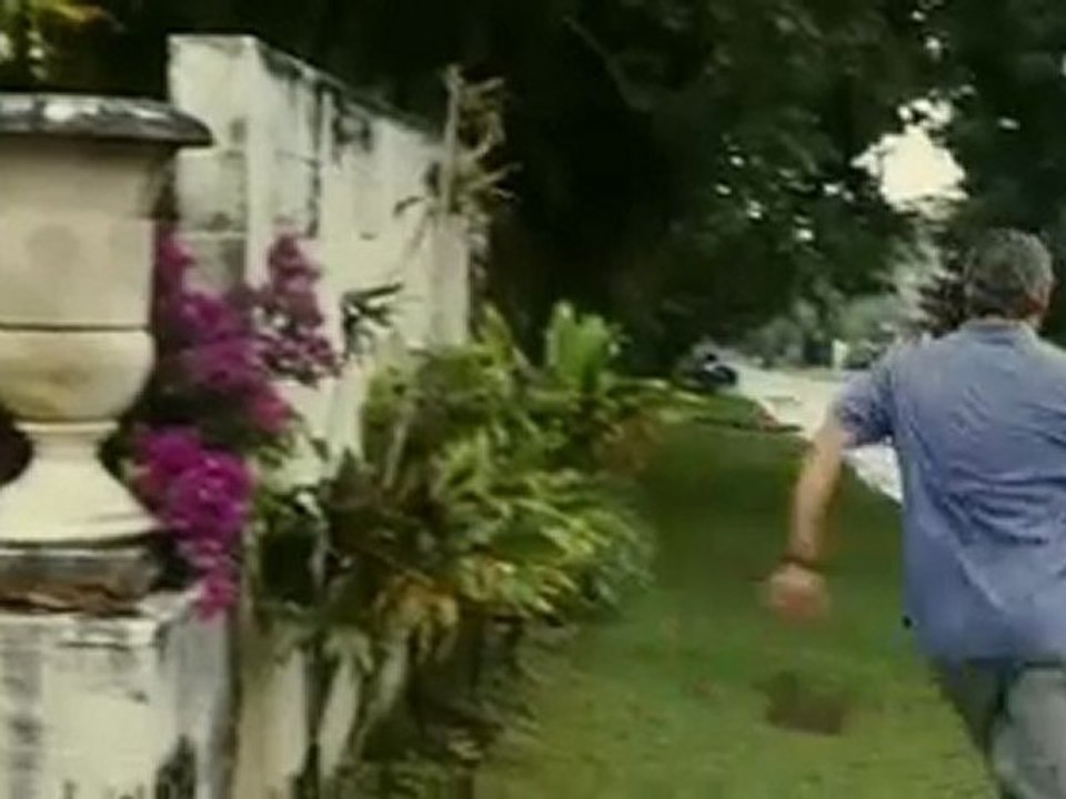 The Descendants Trailer