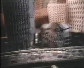 Frank Zappa - City Of Tiny Lights