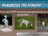 bladder shy anxiety - paruresis cures - Paruresis treatment - shy bladder