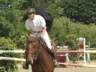 Saut d'obstacle: la synergie avant tout! (Alsace)