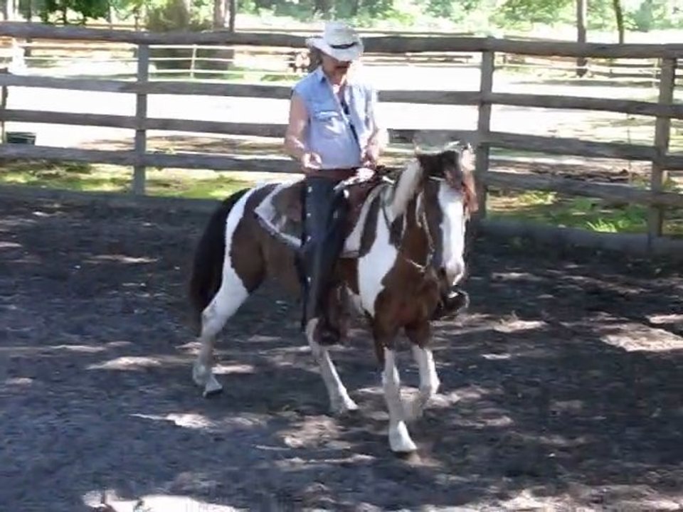 RANCH Equitation americaine .dressage et education en selle western sans prise des rênes à TINKAPALO RANCH