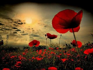 KORKMUYORUM SENİ SEVMEKTEN & ŞİİR