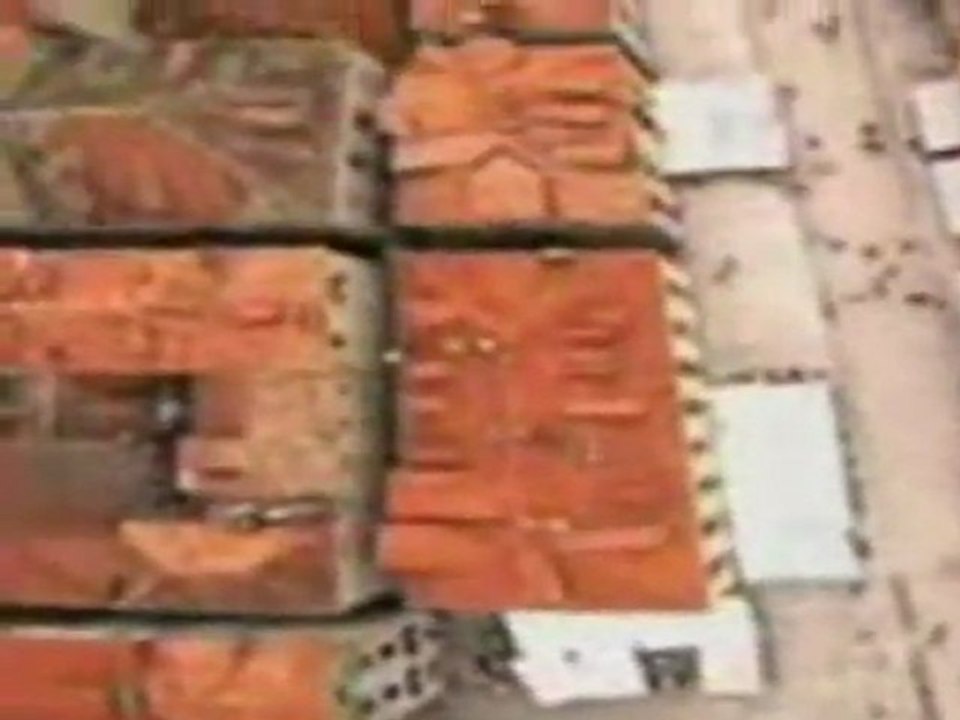 Moja domovina moja imovina