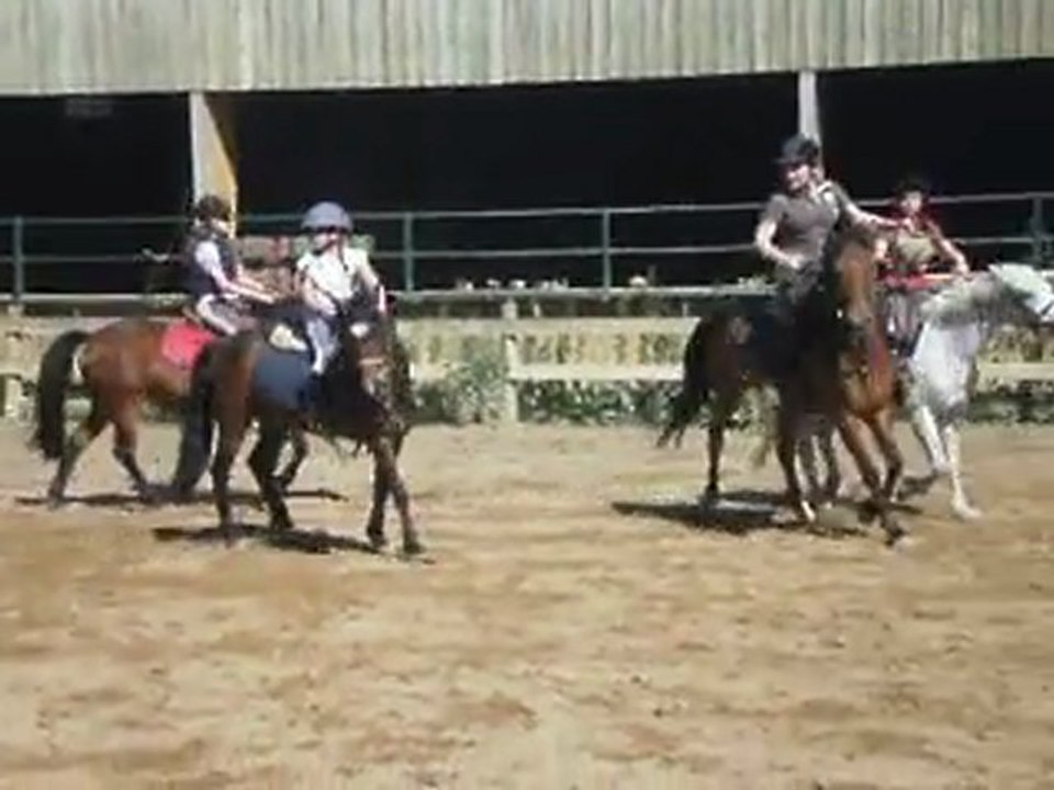 margaux horse ball