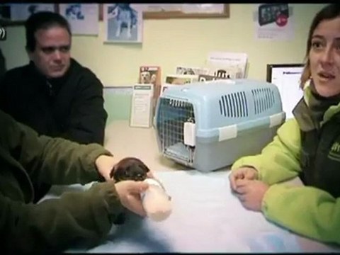 TV3 - Dimarts, 23.25, a TV3 - Nova edició d' Entrelínies