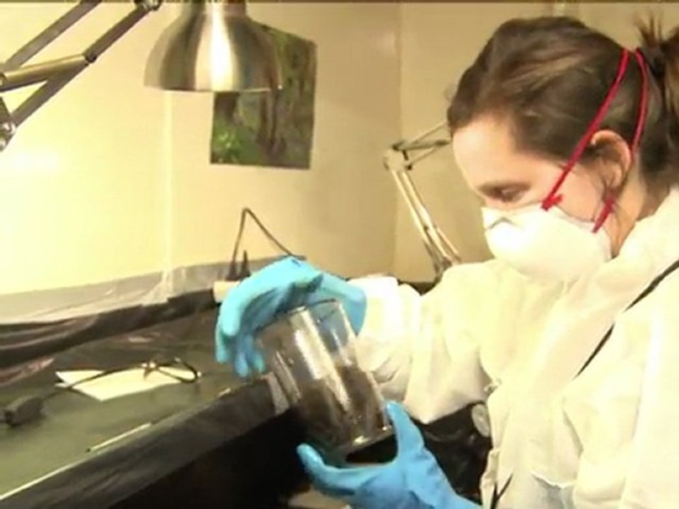 Le Journal vidéo du jeudi 26 mai 2011, édition de 12H00