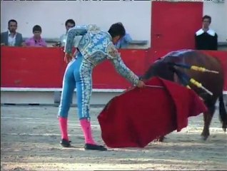 Tendido Sud N°249 25/05/11 - TV SUD