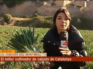 TV3 - Els matins - Comença la temporada de calçots