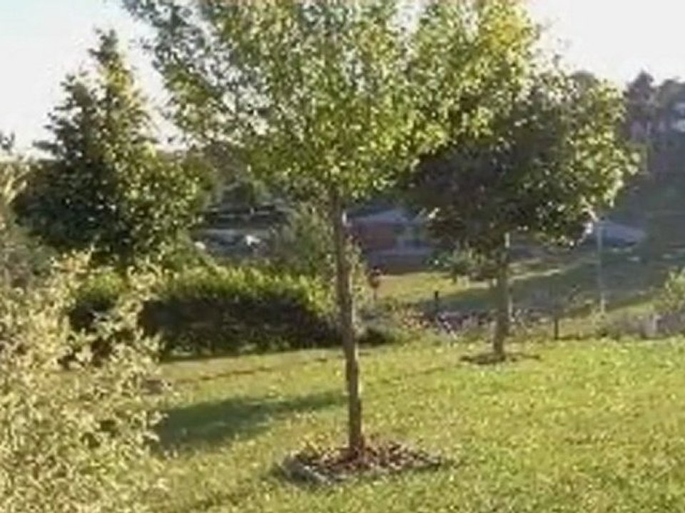 Vente - maison - CLERES (76690)  - 152m² - 309 000€