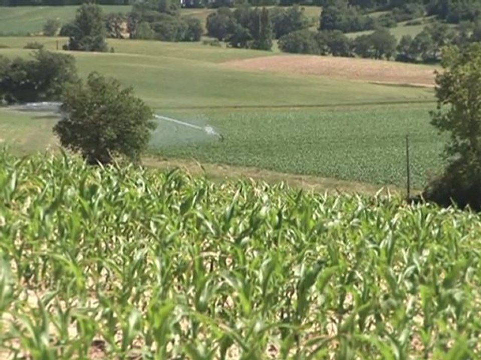 Sécheresse dans le Gers : les agriculteurs inquiets