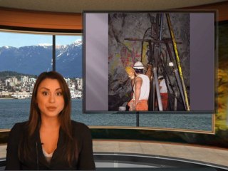 Continental Gold Ltd. (TSX: CNL) News Alert