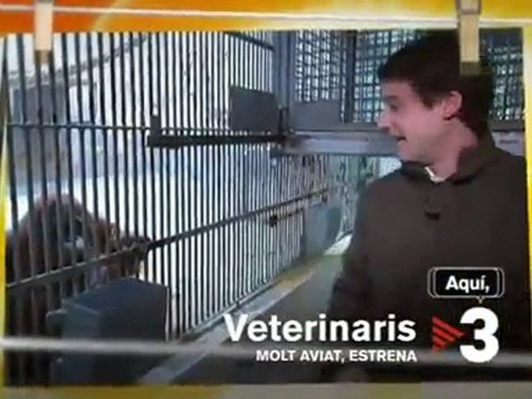 TV3 - Molt aviat, a TV3 - Nova temporada de Veterinaris