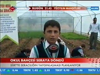 BAYKAN YİBO DA SERACILIK