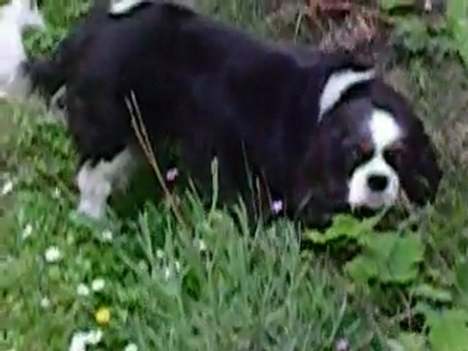 MAUD DANS LE JARDIN MAI 2011