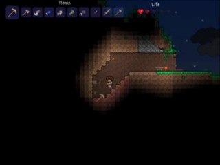 (Découverte) Terraria