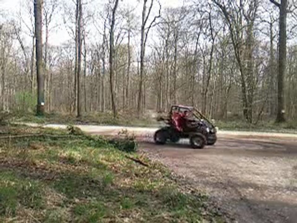 buggy samdutch