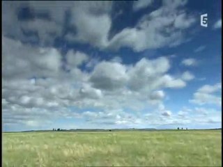 bison, le roi de la prairie (3)