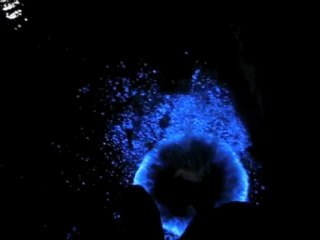 Işıklı Muhteşem Bakteriler