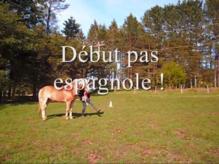 Travail a pied, 25 mai 2011