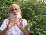 Organic/Natueco Farming - Malpani Trust - Deepak Suchde - Bajwada, M.P. - Part 1