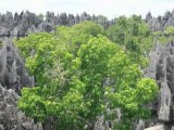 Tsingy de Bemaraha Nature Reserve - Great Attractions (Toliary, Madagascar)