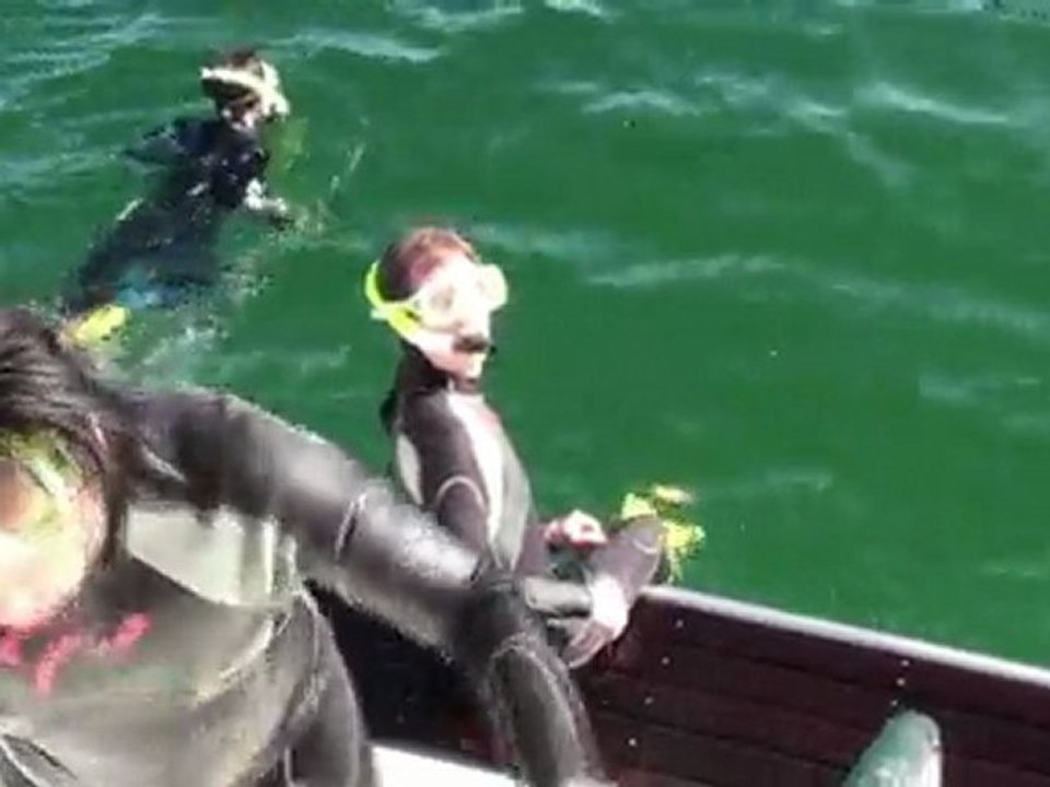 Séjour en Australie partie 8