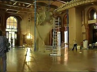 TV3 - Telenotícies - Un nou museu pel saber de sempre