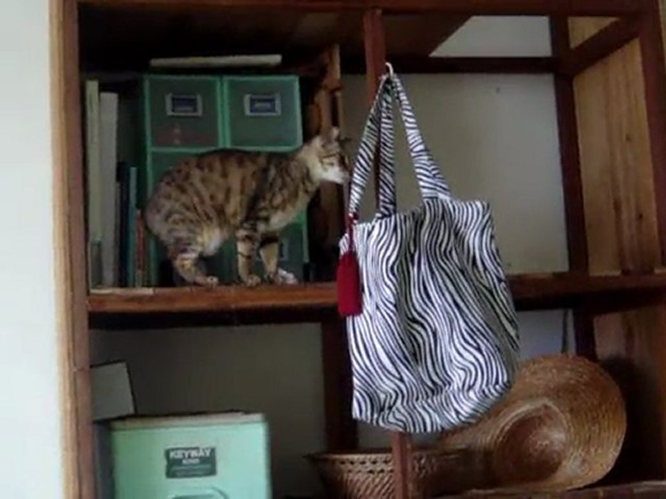 2011 05 07 (Eve video)