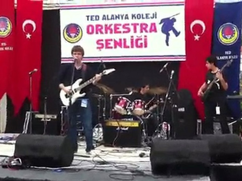 tedinak alanya
