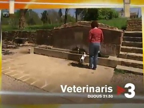 TV3 - Dijous, 21.50, a TV3 - Malalties i parts, a Veterinaris