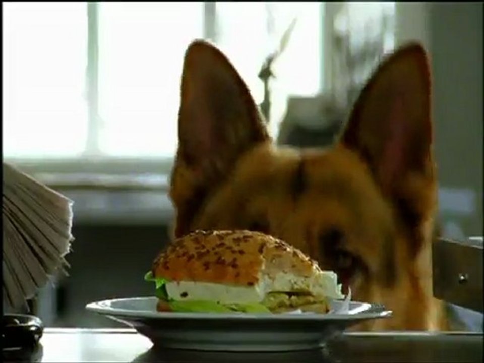 TV3 - De dilluns a divendres, a TV3 - Les germanes McLeod i Rex