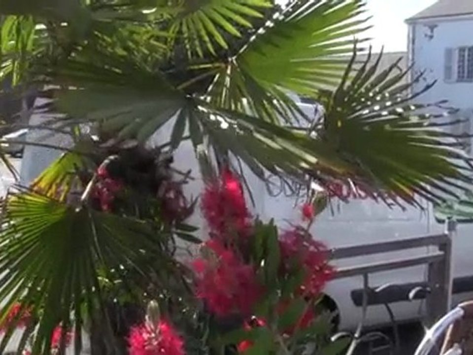 Opération Carlsberg du 20 au 29 Mai 2011 à St-Brévin (44)