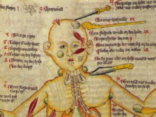 The Warts -- In This Ointment