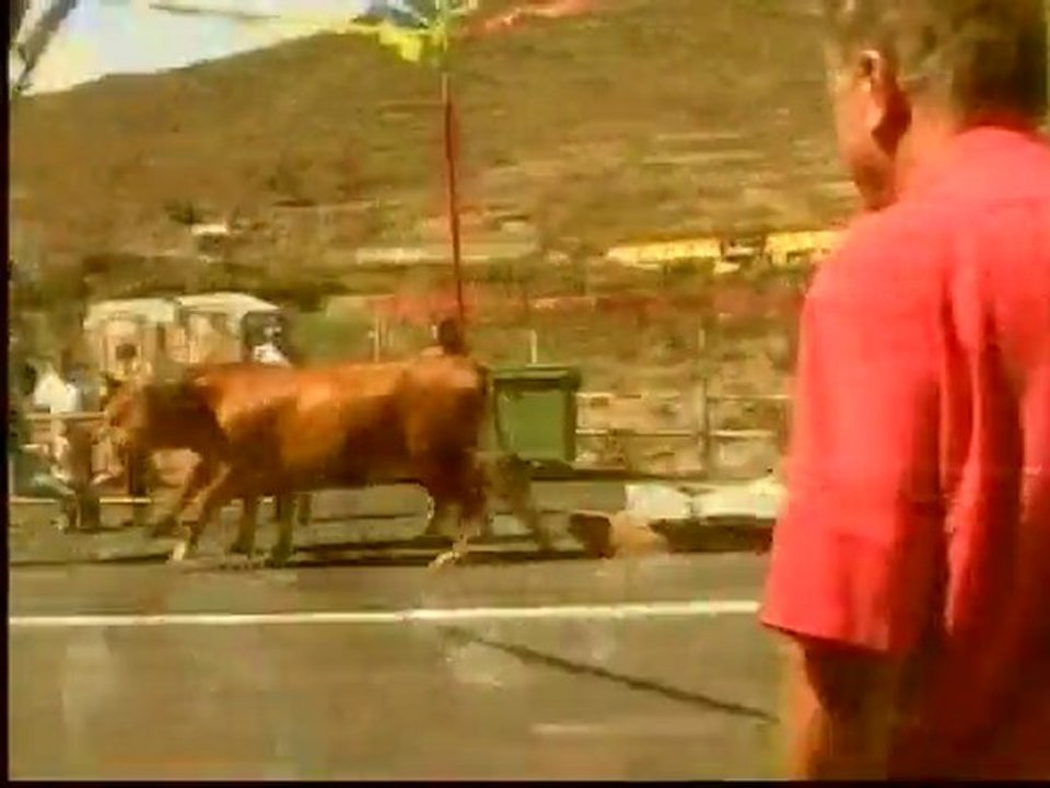 Cours d'art martial de ténérife - Palo canario