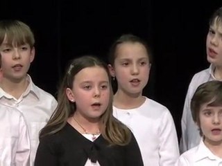 Les bateaux en bouteille