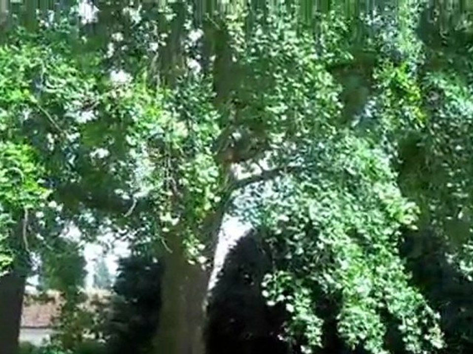 Parc de la Peylouse
