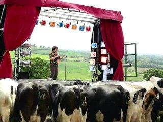THE LAUGHING COW “Pull The Udder One” With Milton Jones (Part 1 of 4)
