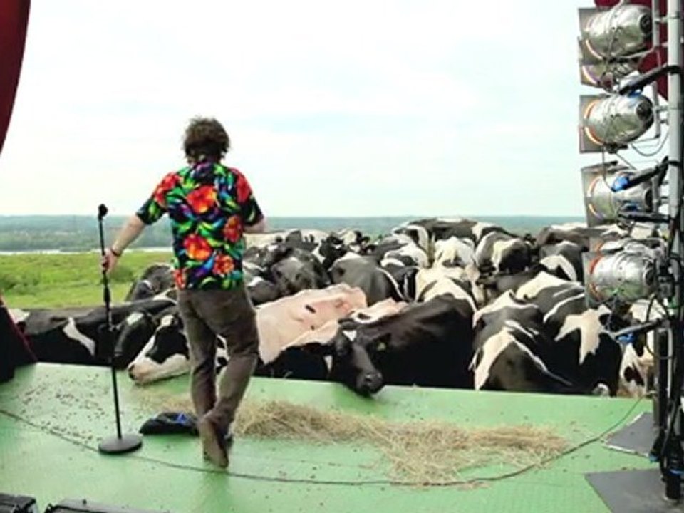 THE LAUGHING COW “Pull The Udder One” With Milton Jones (Part 4 of 4)